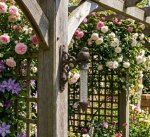 Teploměr litinový s ptáčkem - malý