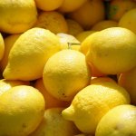 EXTRA JEMNÉ MÝDLO - VERBENA A CITRON 100g - Le Petit Olivier