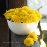 Smaltovaná miska se zelenou 12 cm