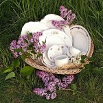 Veliký bílý porcelánový tác