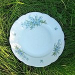 Veliký kulatý talíř - tác pomněnkový