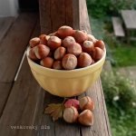 Miska na müsli Mynte Lemonade