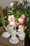 Čajová porcelánová souprava s kvítky - 30. léta