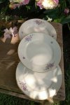 Porcelánové dezertní talíře s kvítím Haas & Czjzek