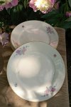 Porcelánové dezertní talíře s kvítím Haas & Czjzek