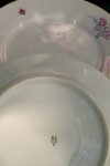 Porcelánové dezertní talíře s kvítím Haas & Czjzek