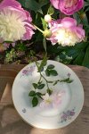 Porcelánové dezertní talíře s kvítím Haas & Czjzek