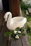 Labuť keramická