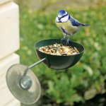 Krmítko pro ptáčky na okno