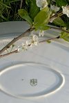 Tác porcelánový - růžičky