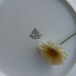Snídaňová sada - Rosenthal Germany