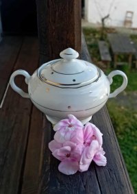 Cukřenka se zlatými puntíčky