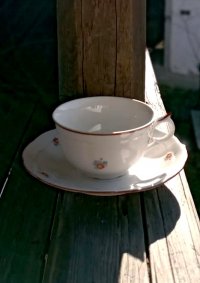 Šálek s podšálkem s kvítky