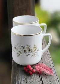 Hrnek porcelánový s kvítky